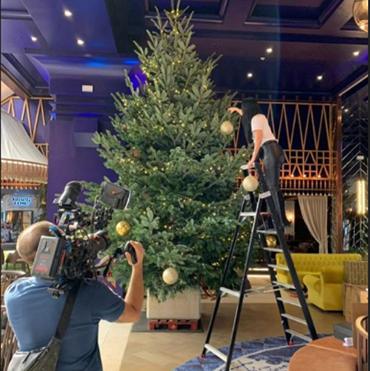 Christmas tree...